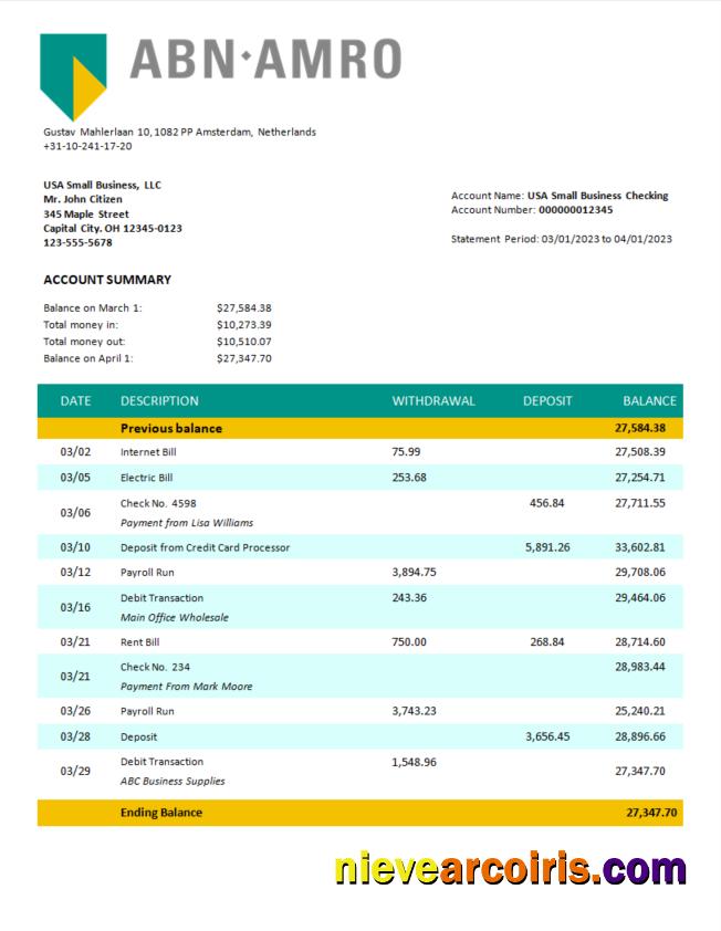 ABN Amro Bank company checking account statement